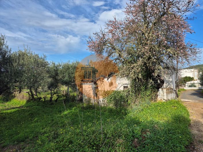 Image No.1-Plot for sale