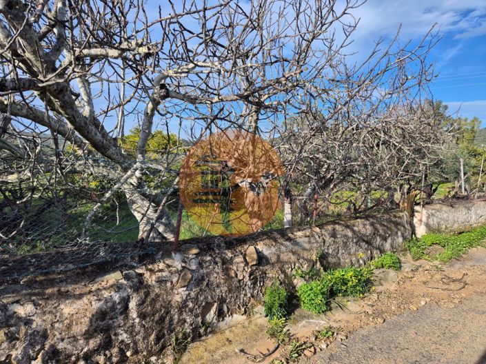 Image No.3-Plot for sale