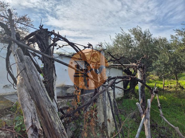 Image No.5-Plot for sale