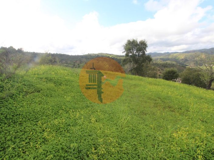 Image No.12-2 Bed Farmhouse for sale