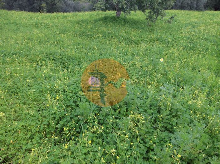 Image No.3-2 Bed Farmhouse for sale