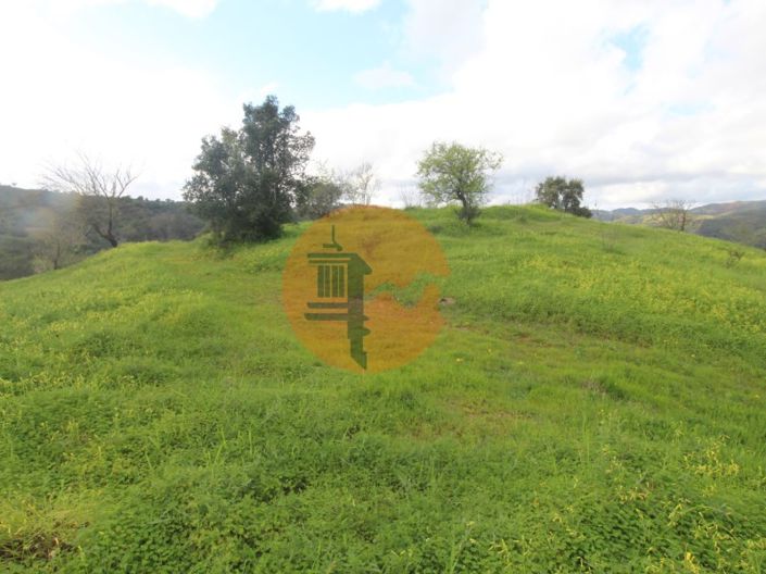 Image No.5-2 Bed Farmhouse for sale