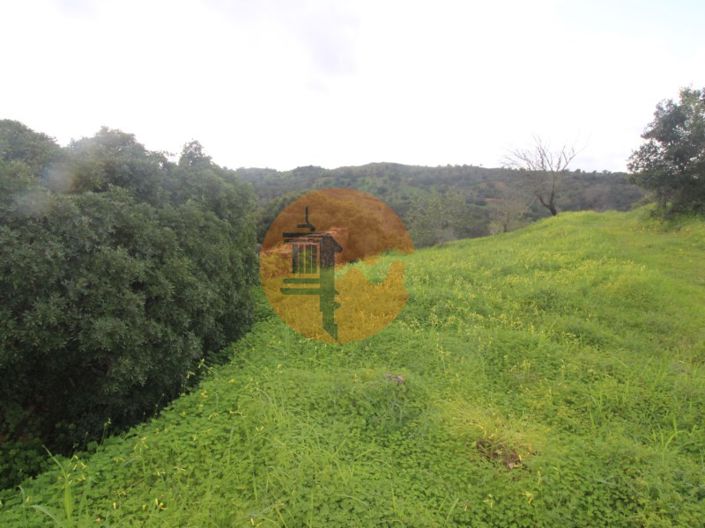 Image No.6-2 Bed Farmhouse for sale