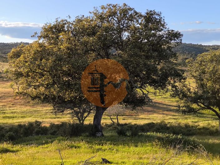 Image No.11-Plot for sale