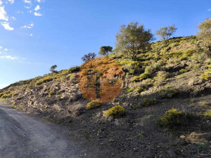 Image No.26-Plot for sale