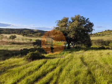 id660c5a01-0000-0500-0000-00001564af6a