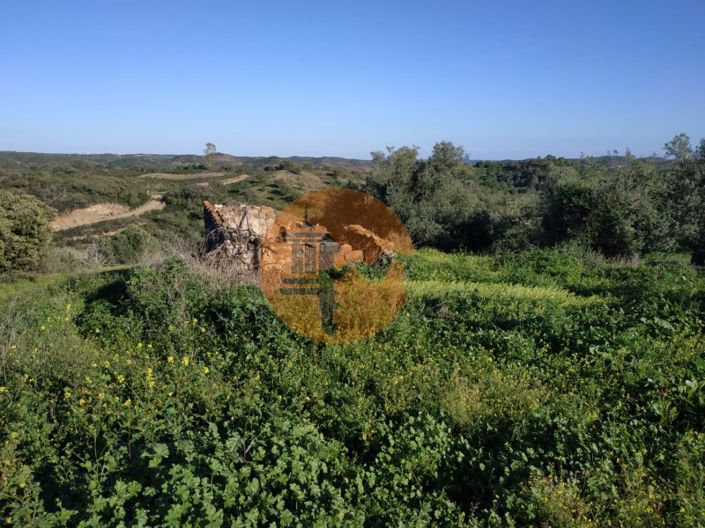 Image No.39-3 Bed Farmhouse for sale