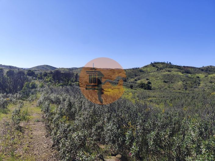 Image No.3-Plot for sale