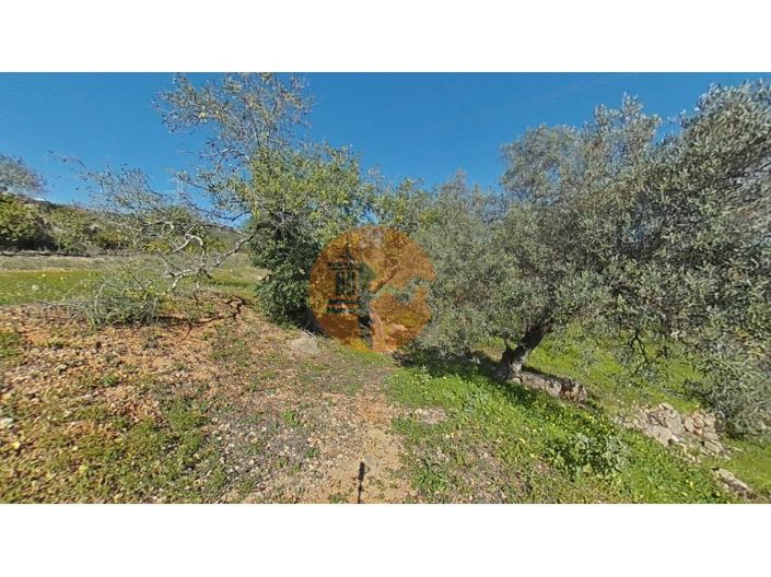 Image No.4-Plot for sale