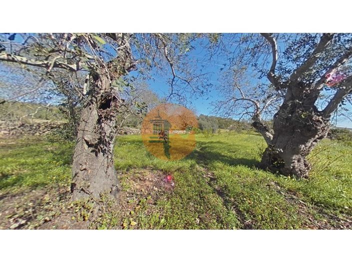 Image No.8-Plot for sale