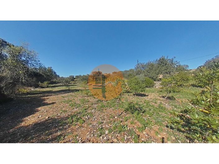 Image No.10-Plot for sale