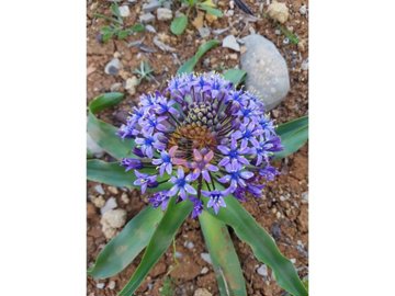 id479d6801-0000-0500-0000-0000111548d8