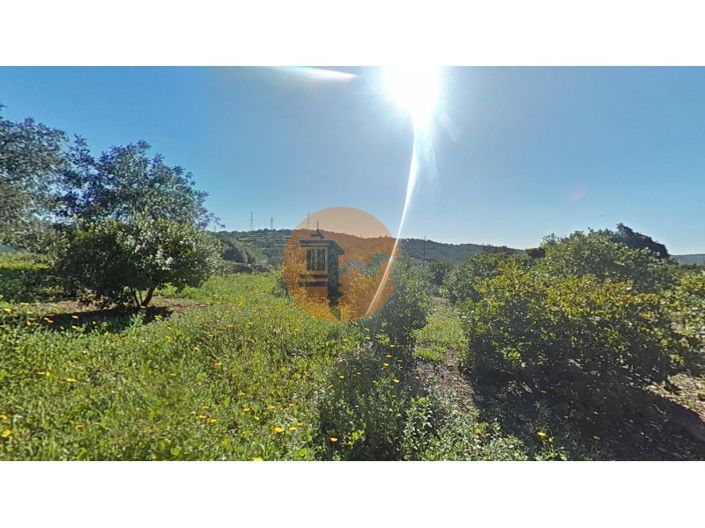 Image No.12-Plot for sale