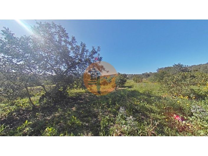 Image No.17-Plot for sale