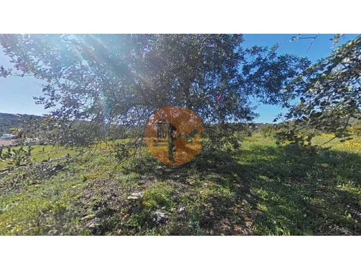 Image No.24-Plot for sale