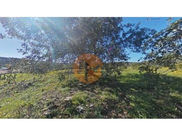 id479d6801-0000-0500-0000-000011148a48