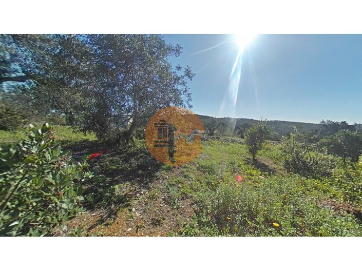 Image No.9-Plot for sale