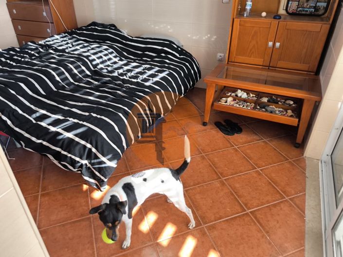 Image No.22-1 Bed House for sale