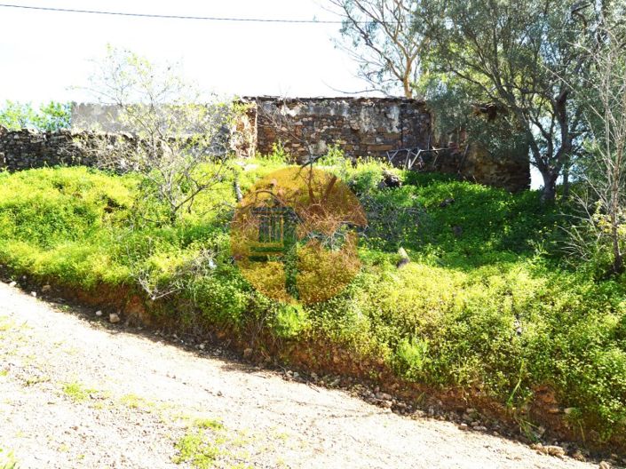 Image No.6-3 Bed Farmhouse for sale