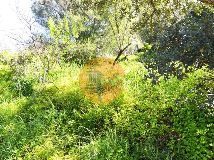 Image No.8-3 Bed Farmhouse for sale