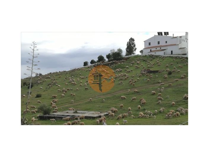 Image No.3-2 Bed House for sale