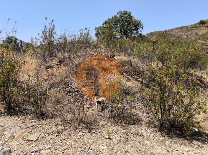 Image No.15-Plot for sale