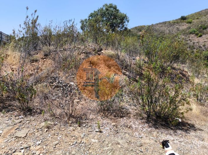 Image No.16-Plot for sale