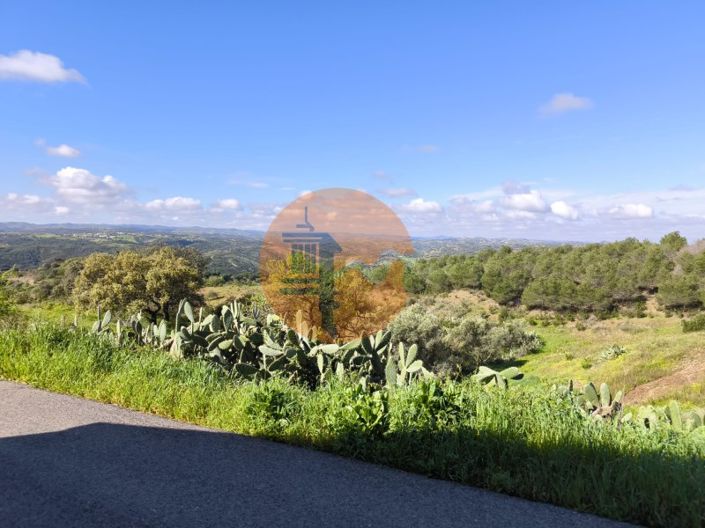 Image No.10-1 Bed House for sale