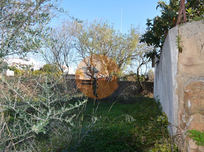 Image No.11-Plot for sale