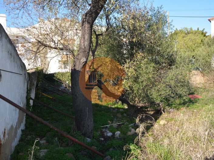 Image No.12-Plot for sale