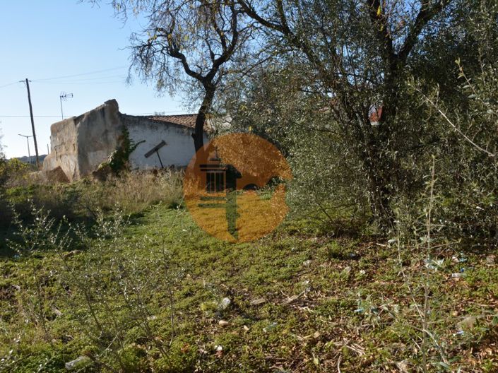 Image No.2-Plot for sale