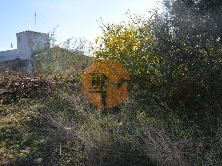 Image No.23-Plot for sale