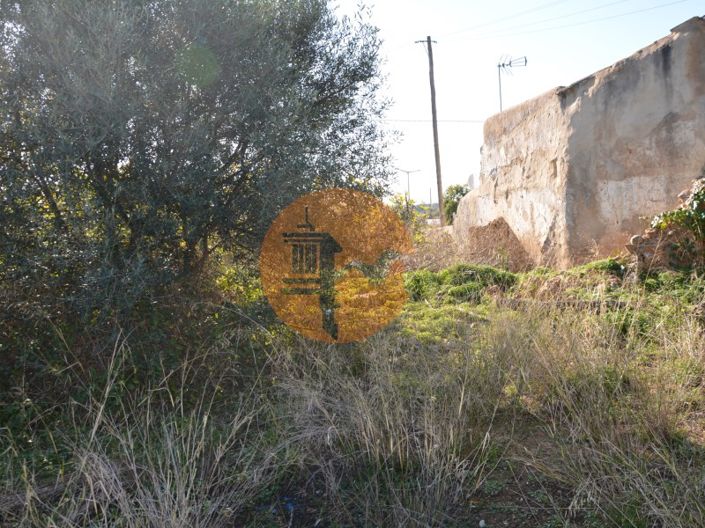 Image No.24-Plot for sale