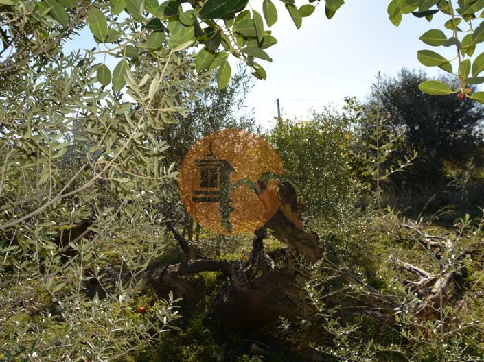 Image No.25-Plot for sale