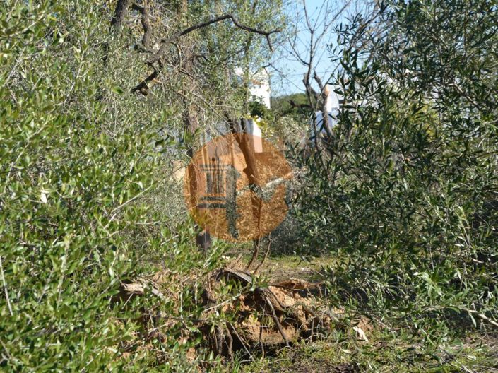 Image No.26-Plot for sale