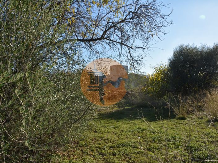 Image No.27-Plot for sale