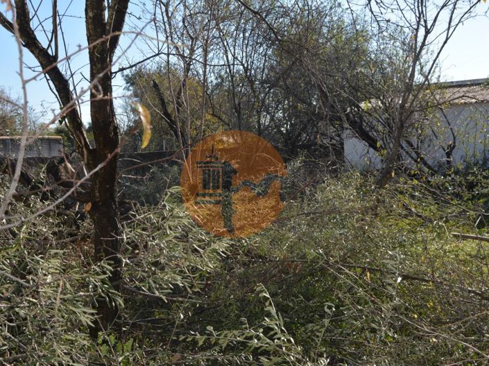 Image No.28-Plot for sale