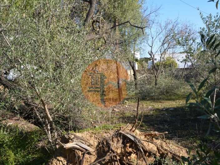 Image No.29-Plot for sale