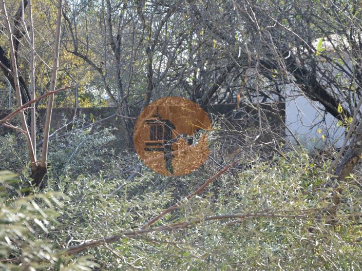 Image No.30-Plot for sale