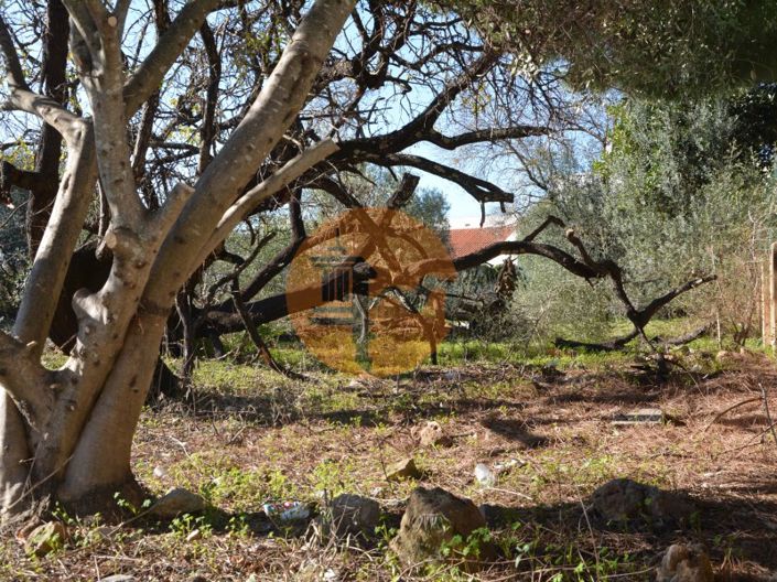 Image No.32-Plot for sale