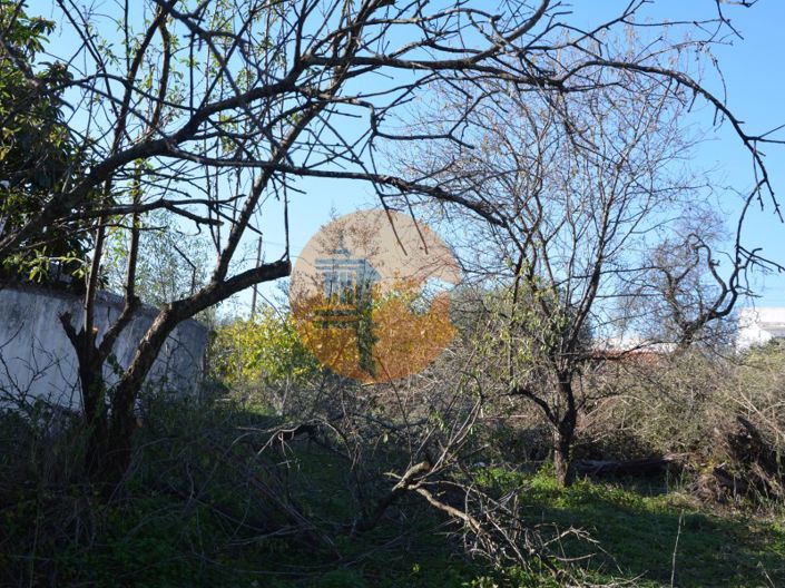 Image No.33-Plot for sale