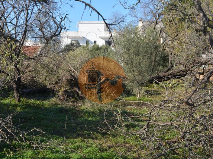 Image No.34-Plot for sale