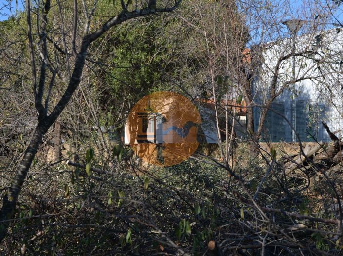 Image No.35-Plot for sale