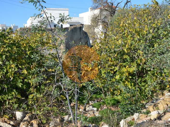 Image No.39-Plot for sale