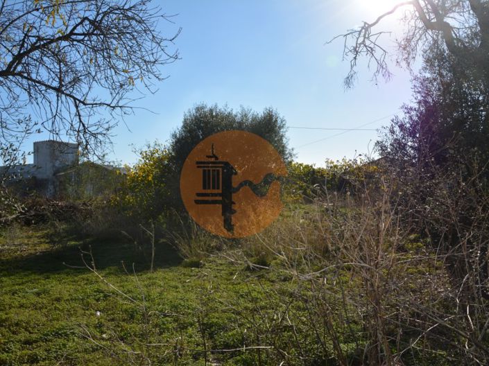 Image No.4-Plot for sale