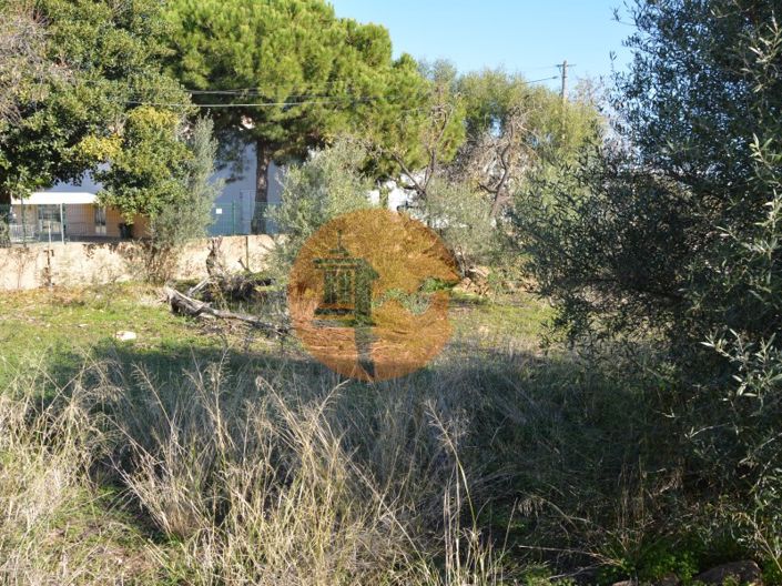 Image No.40-Plot for sale