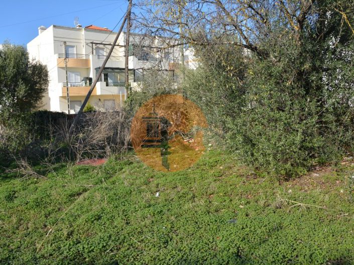 Image No.43-Plot for sale