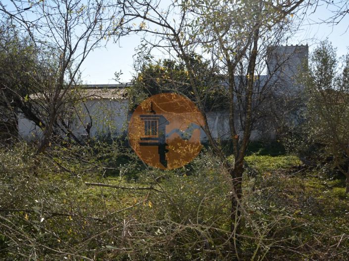 Image No.45-Plot for sale