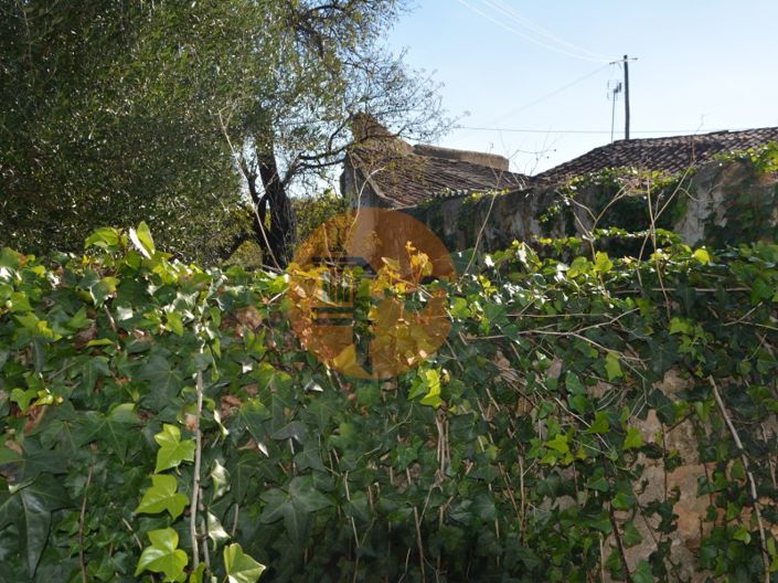 Image No.5-Plot for sale