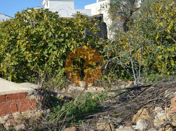 Image No.50-Plot for sale